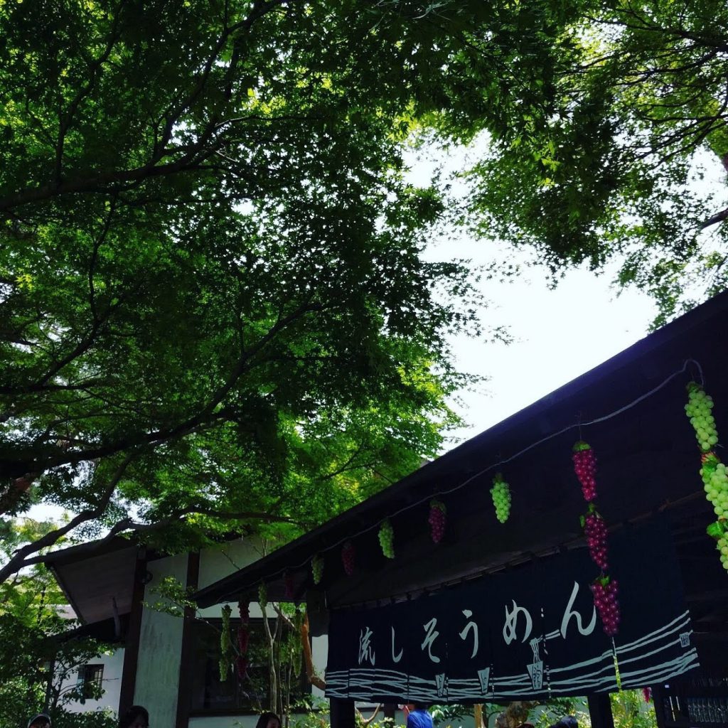秩父 長瀞 レジャー 流しそうめん